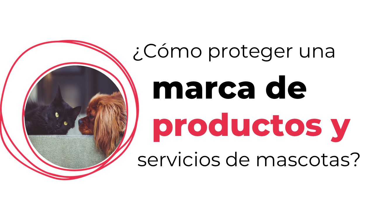 Cómo proteger una marca de productos y servicios de mascotas